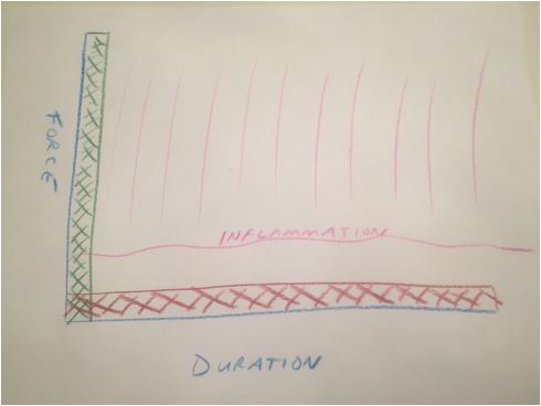Force vs. Duration Graph showing less inflammation with long duration low force stretching